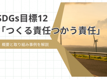 SDGs目標12「つくる責任つかう責任」の概要と取り組み事例を解説