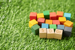 SDGsの取り組み方